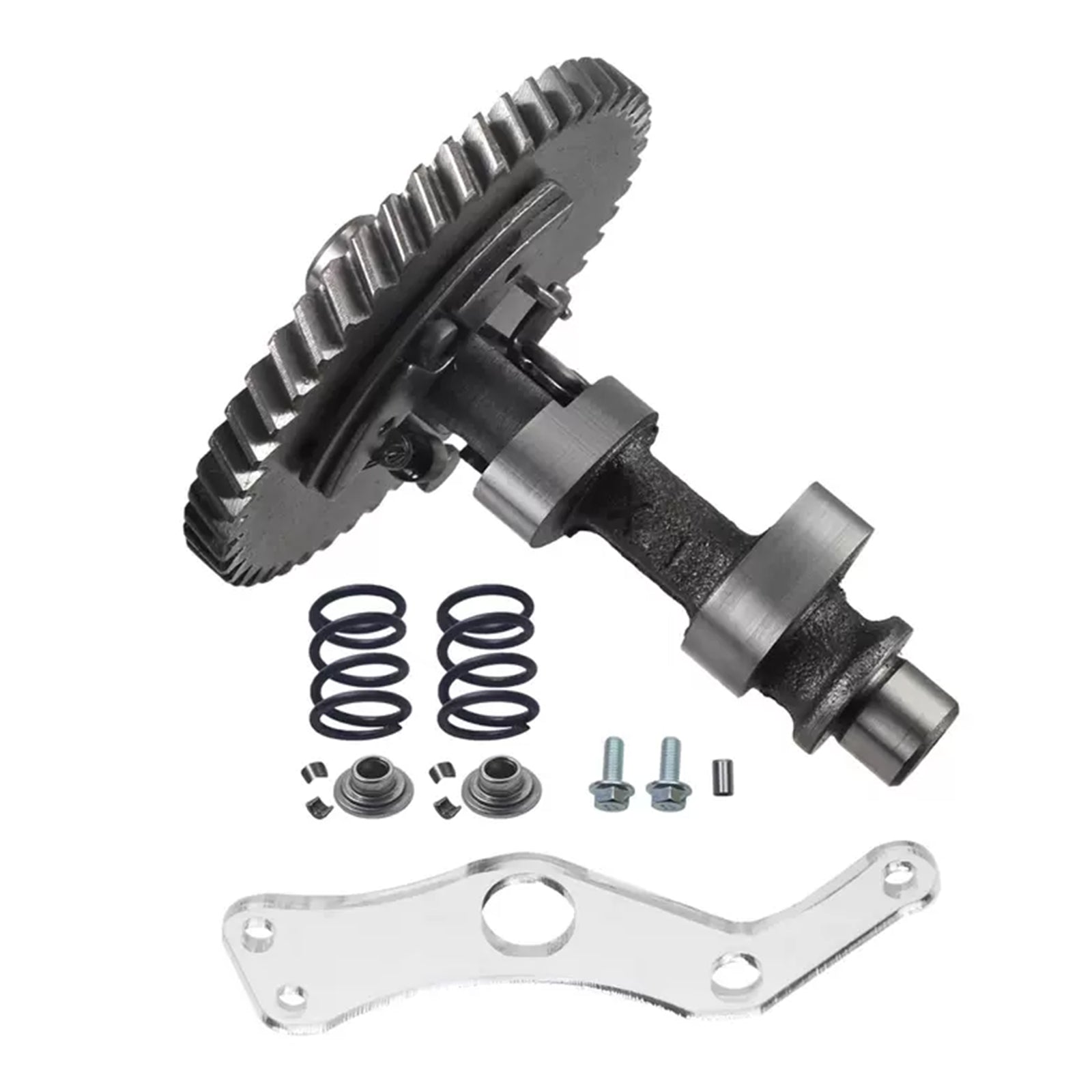 212cc .308 Cam Camshaft 26lb Vavle Spring for Predator 212cc Hemi 196cc Clone GX200 Tillotson 196 212 225 Engine Minibike Go Kart Performance Parts