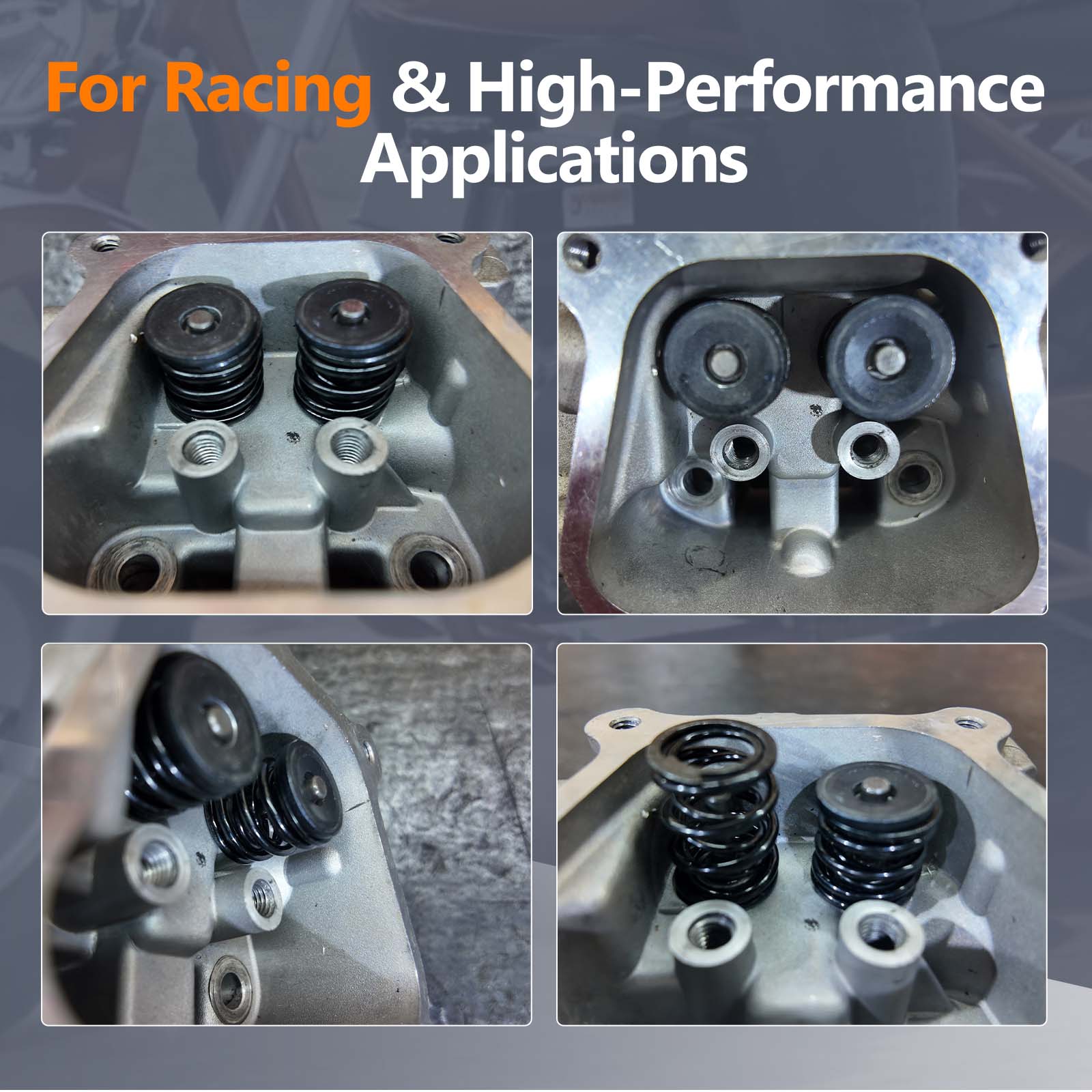 55lb Dual Valve Spring 196cc-225cc