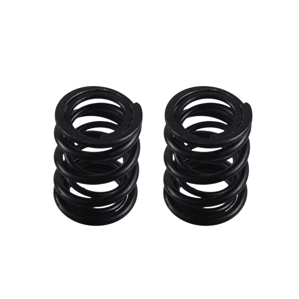 55lb Dual Valve Spring 196cc-225cc