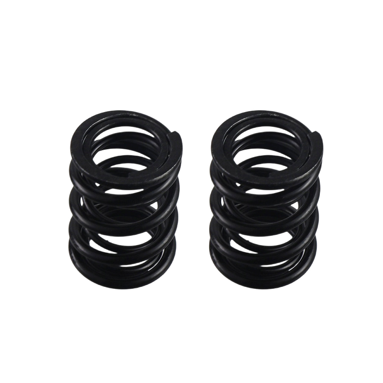 55lb Dual Valve Spring 196cc-225cc