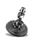 Stage4 .308 Grind Camshaft  For Predator 212cc Non-Hemi /Hemi Engine