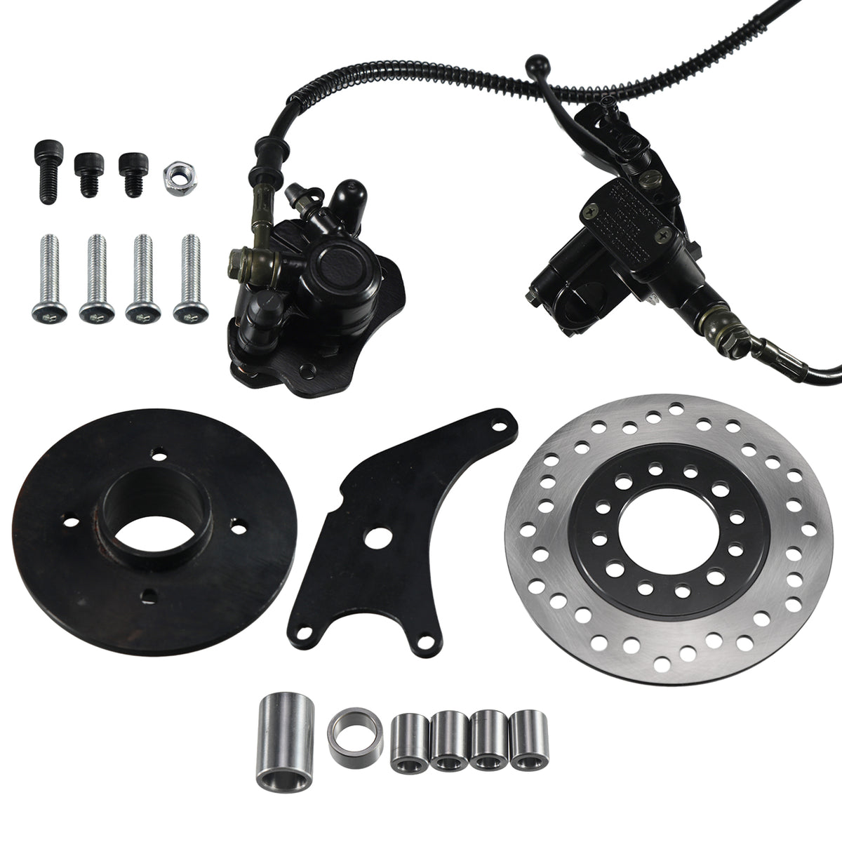 Mini Bike Rear Drum to Disc Hydraulic Brake Conversion
