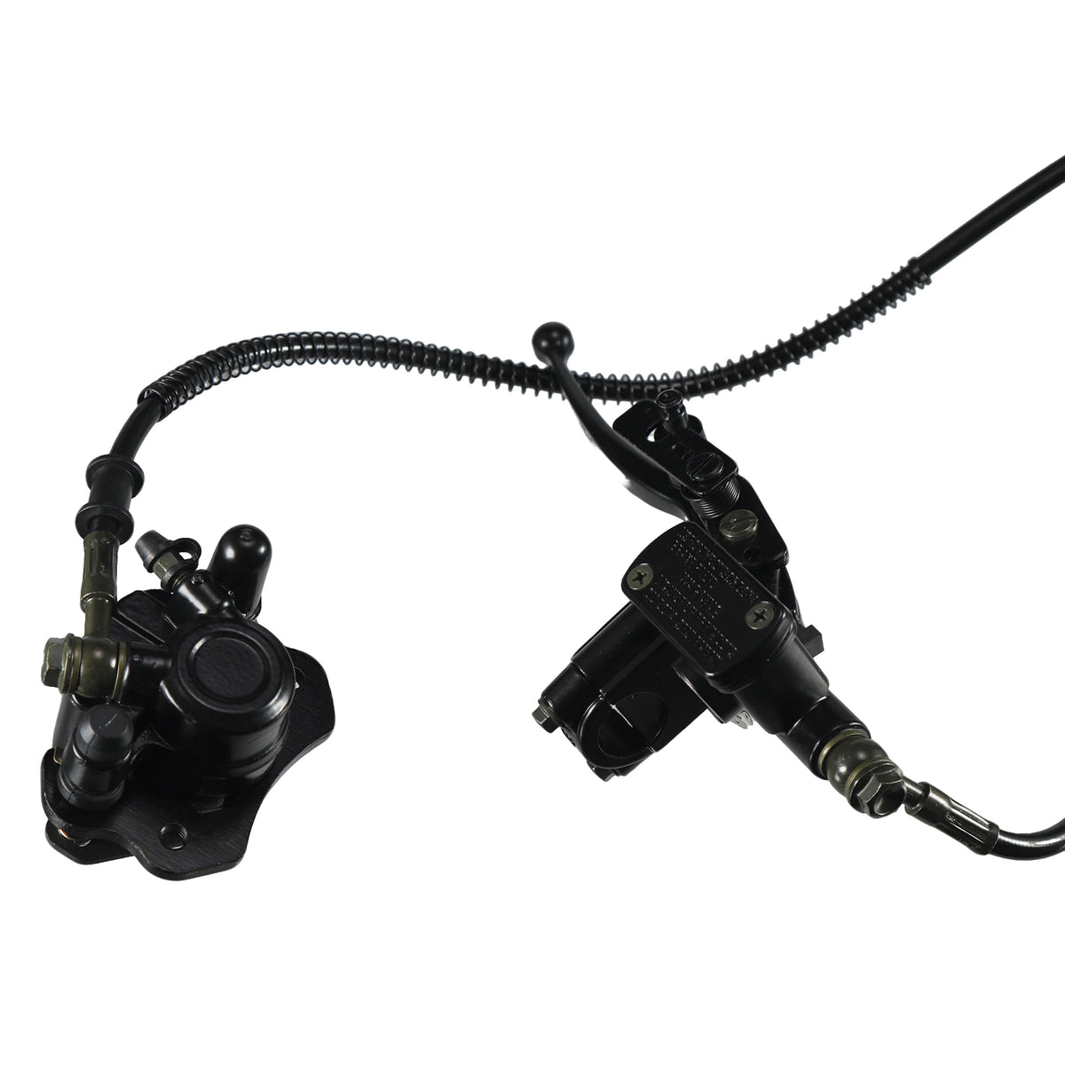 Mini Bike Rear Drum to Disc Hydraulic Brake Conversion